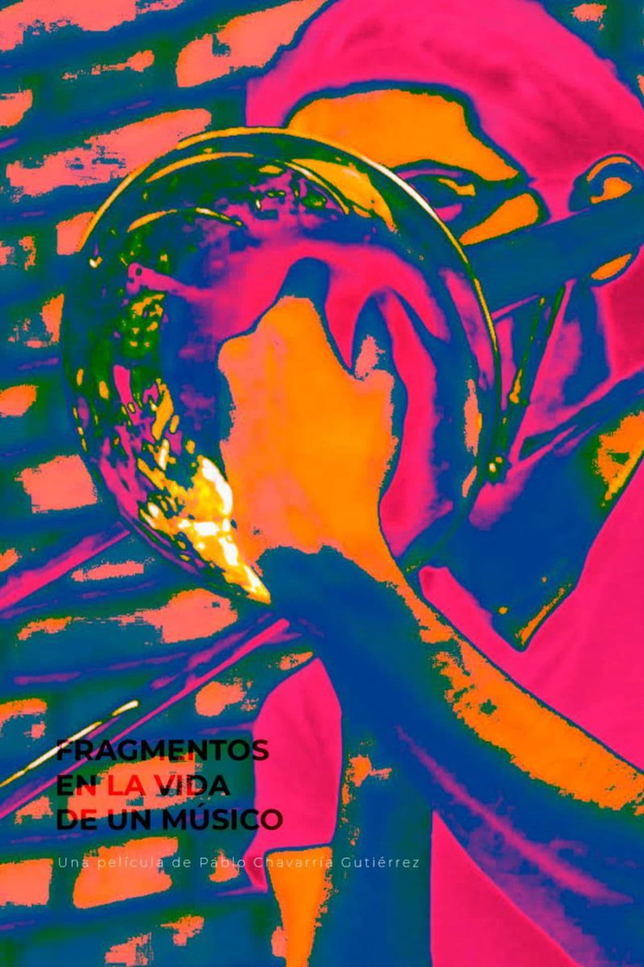 Fragments in a Musician's Life