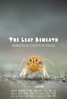 The Leap Beneath