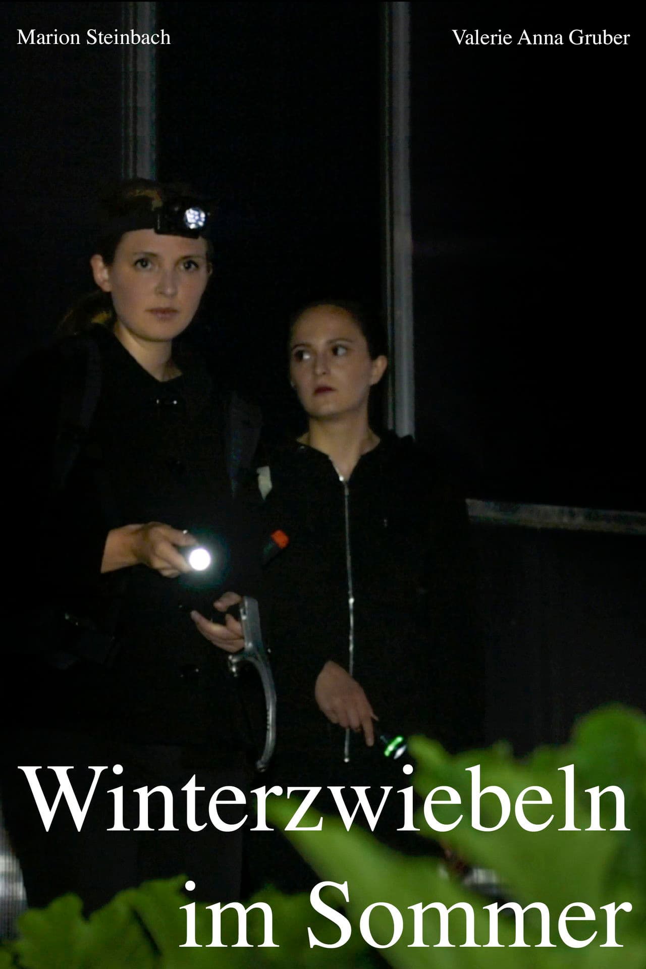 Winterzwiebeln im Sommer