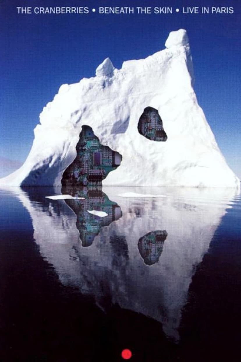 The Cranberries - Beneath the Skin - Live in Paris