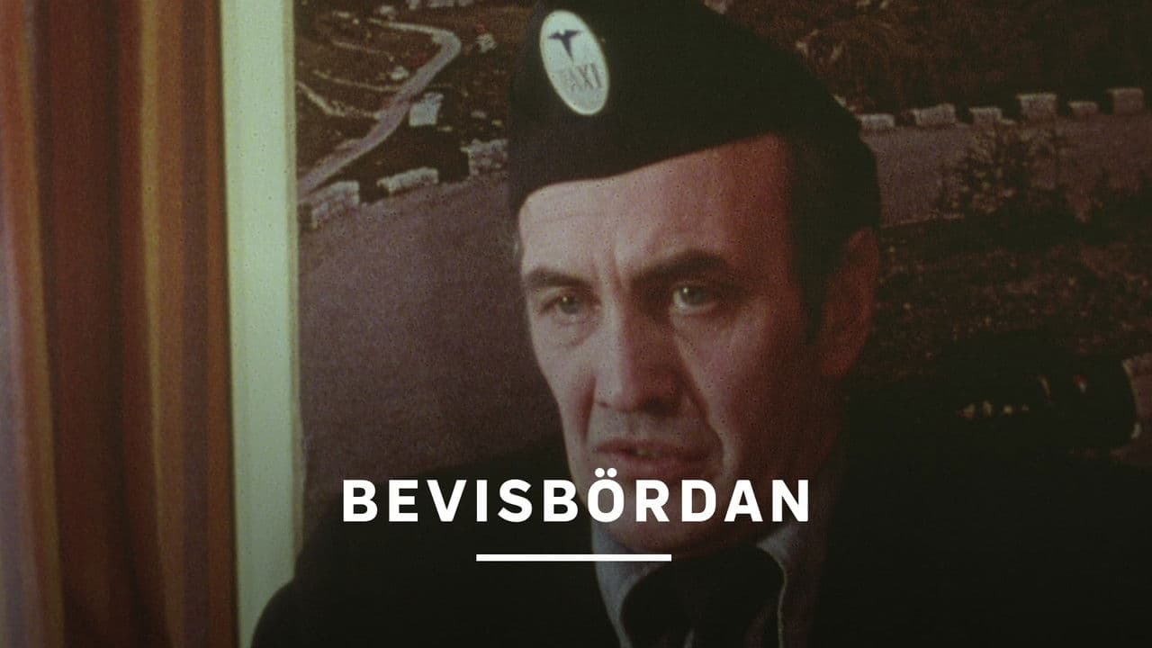 Bevisbördan