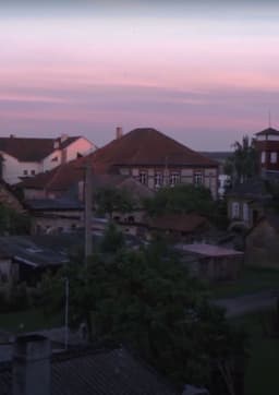 Peafowls Flew Away and Took My Thoughts With Them