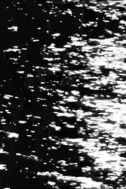 Waiting to Disappear