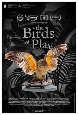 The Birds of Play