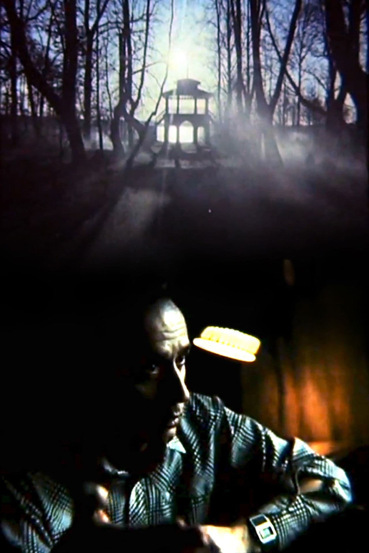 Hryhoriy Havrylenko. The Bright Figure