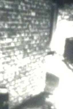 Stillness of the Garden