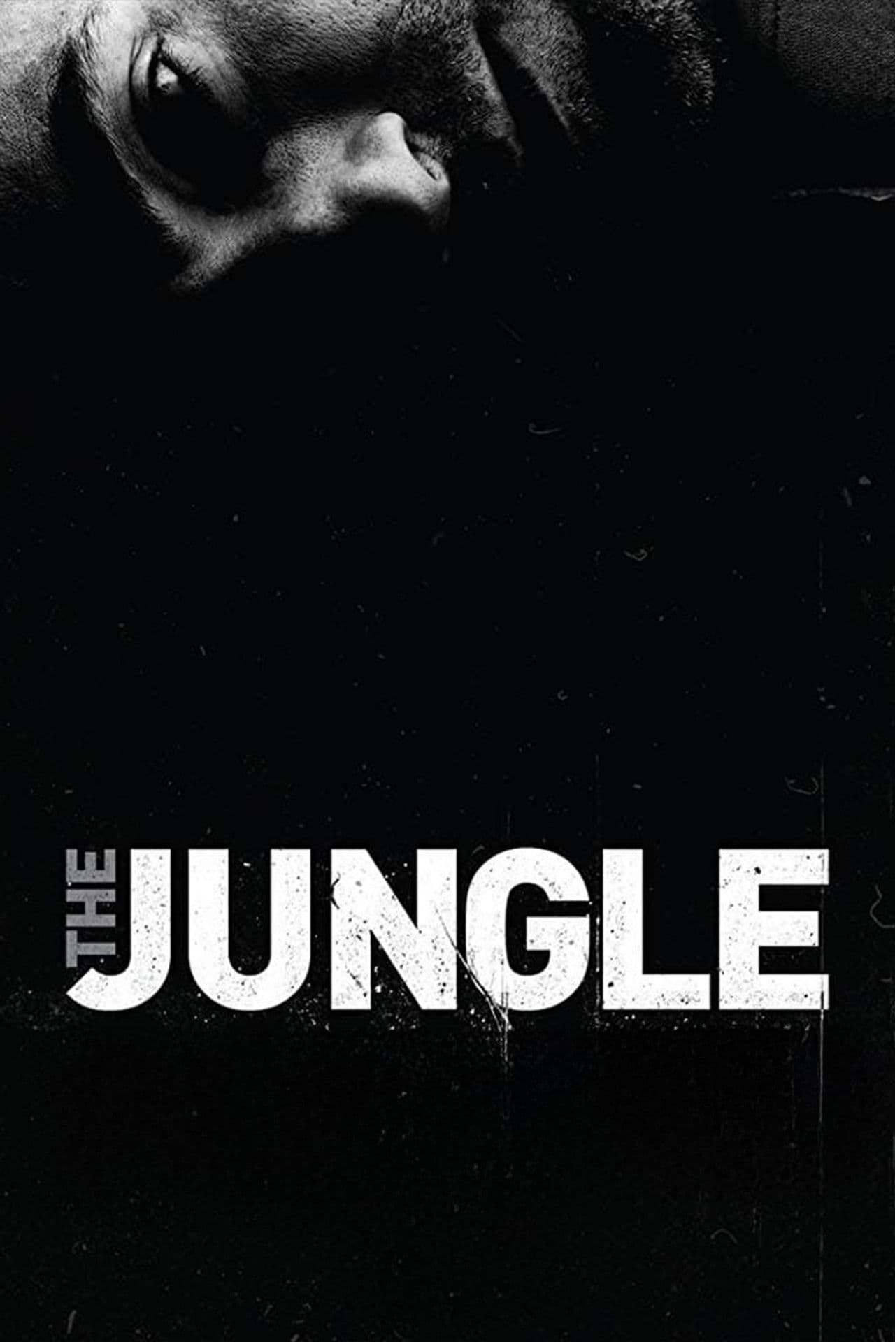 The Jungle
