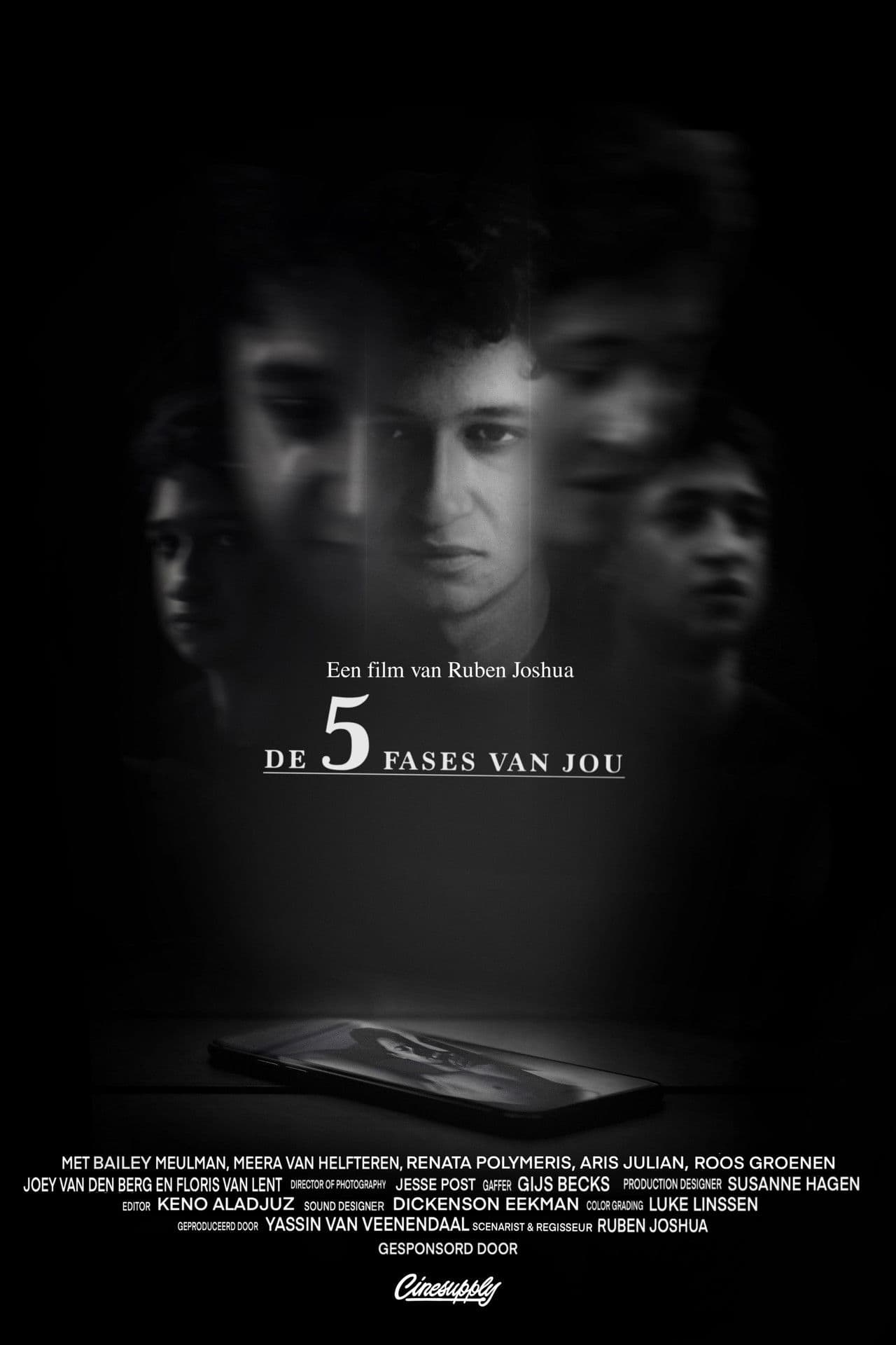 De Vijf Fases Van Jou