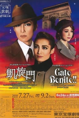 Arch of Triumph -From the Novel by Erich Maria Remarque-