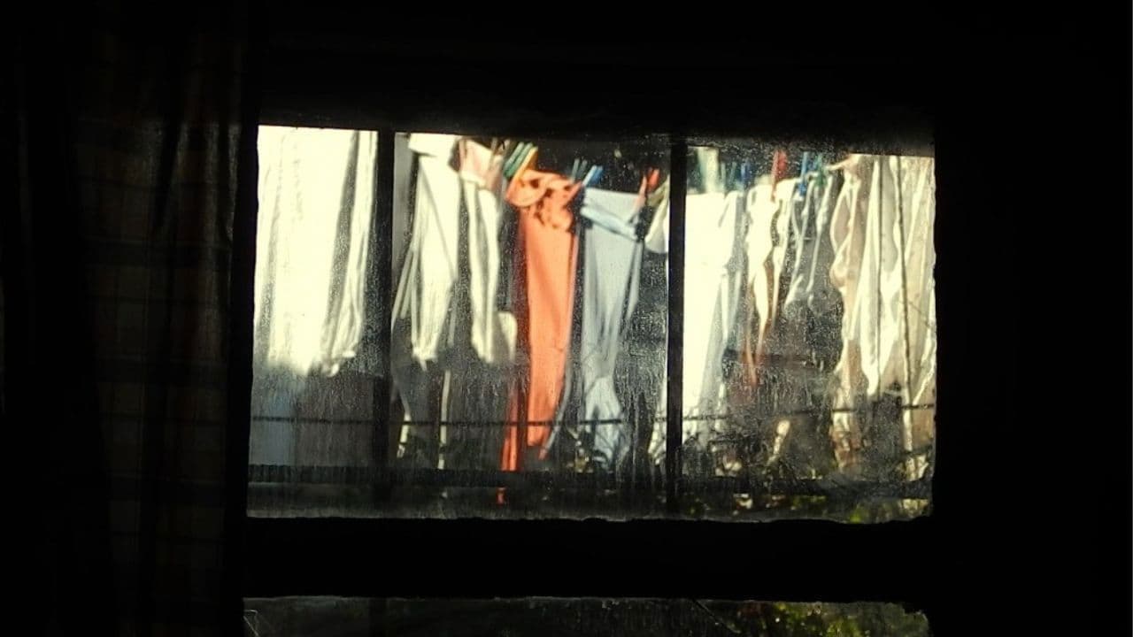 Remembering So We Don't Forget