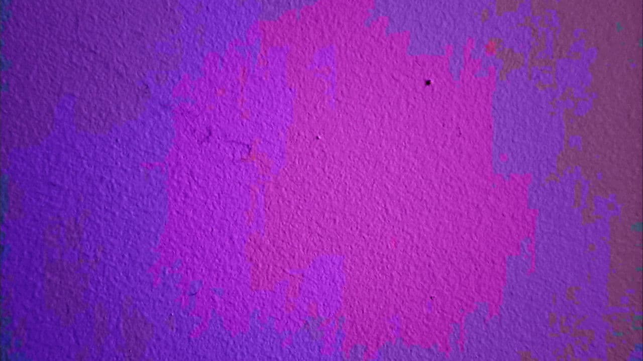 a tiny bug crawls across a wall