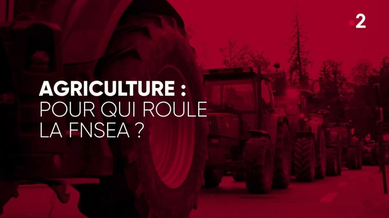 Agriculture, pour qui roule la FNSEA ?