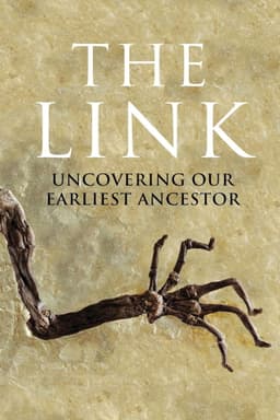 Uncovering Our Earliest Ancestor: The Link