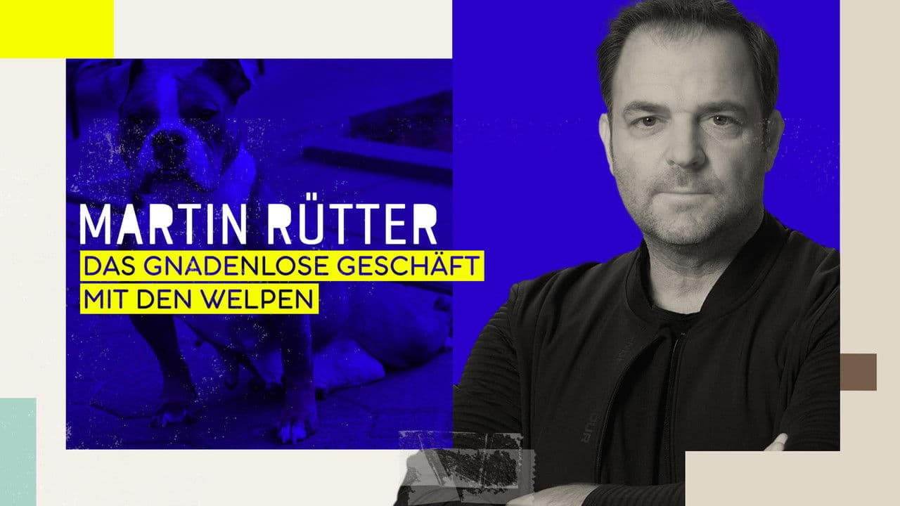 Martin Rütter - Das gnadenlose Geschäft mit den Welpen
