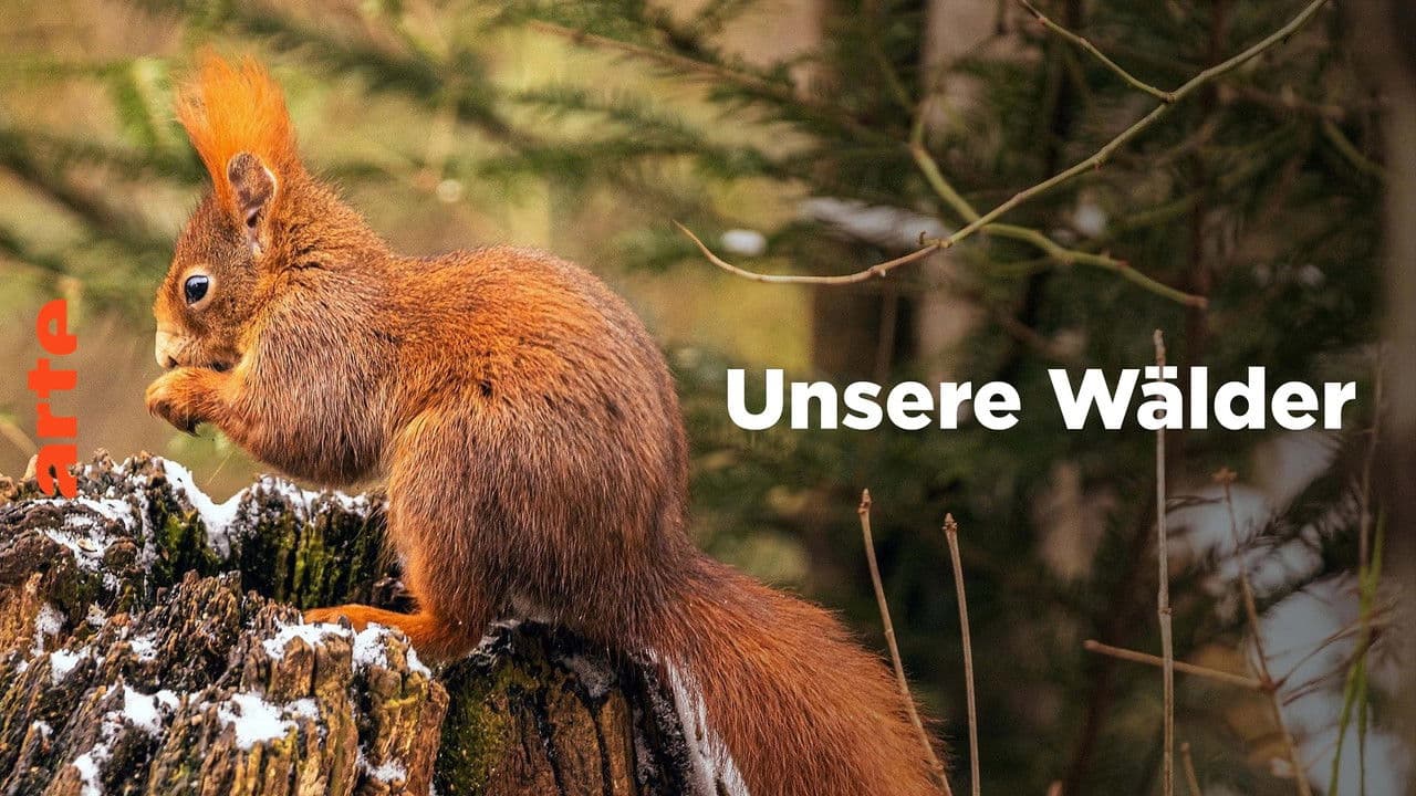 Unsere Wälder