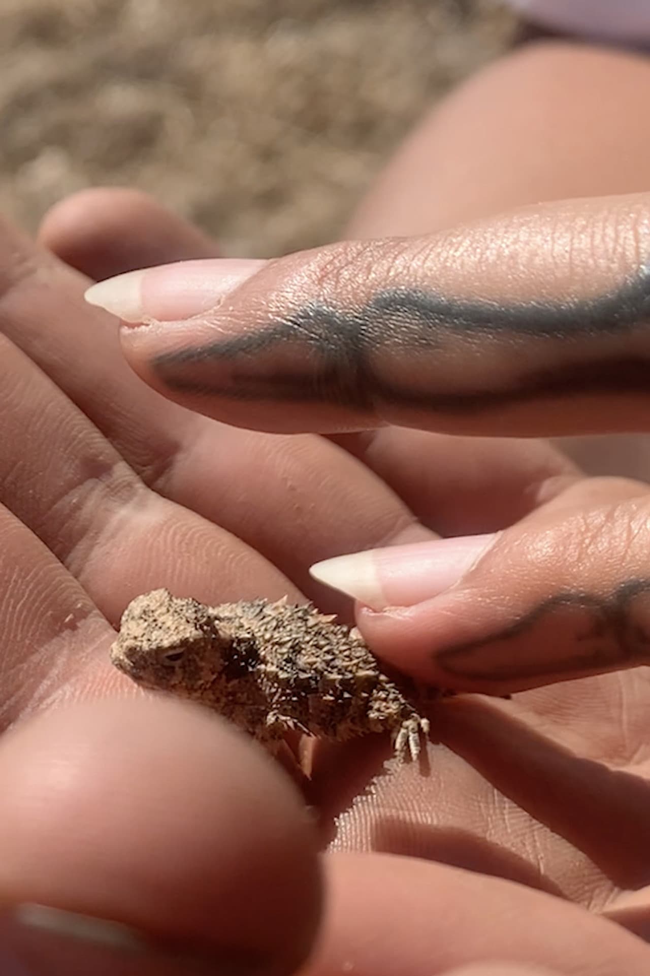 ✧Ⓑ☠☻Ⓛ♡Ⓞ✇☟Ⓞ☁☽Ⓓ✰ ⓜⓐⓣⓔⓡⓘⓐⓛⓢ✦