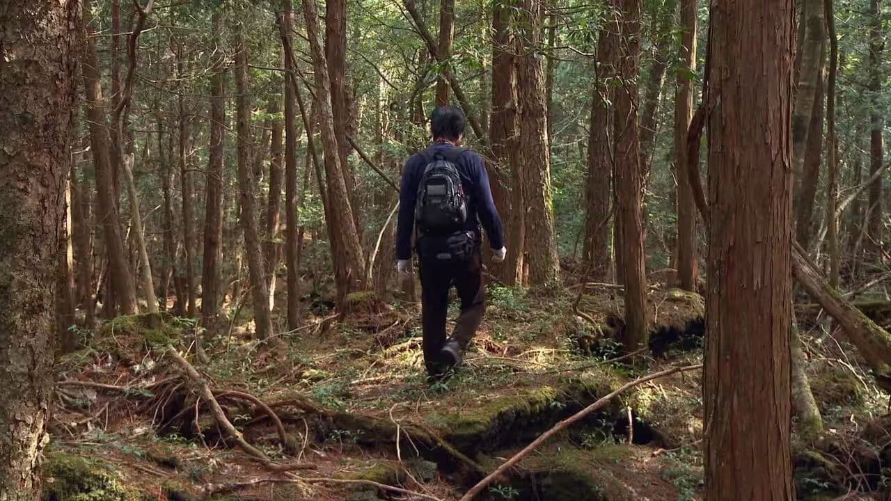Aokigahara: Suicide Forest