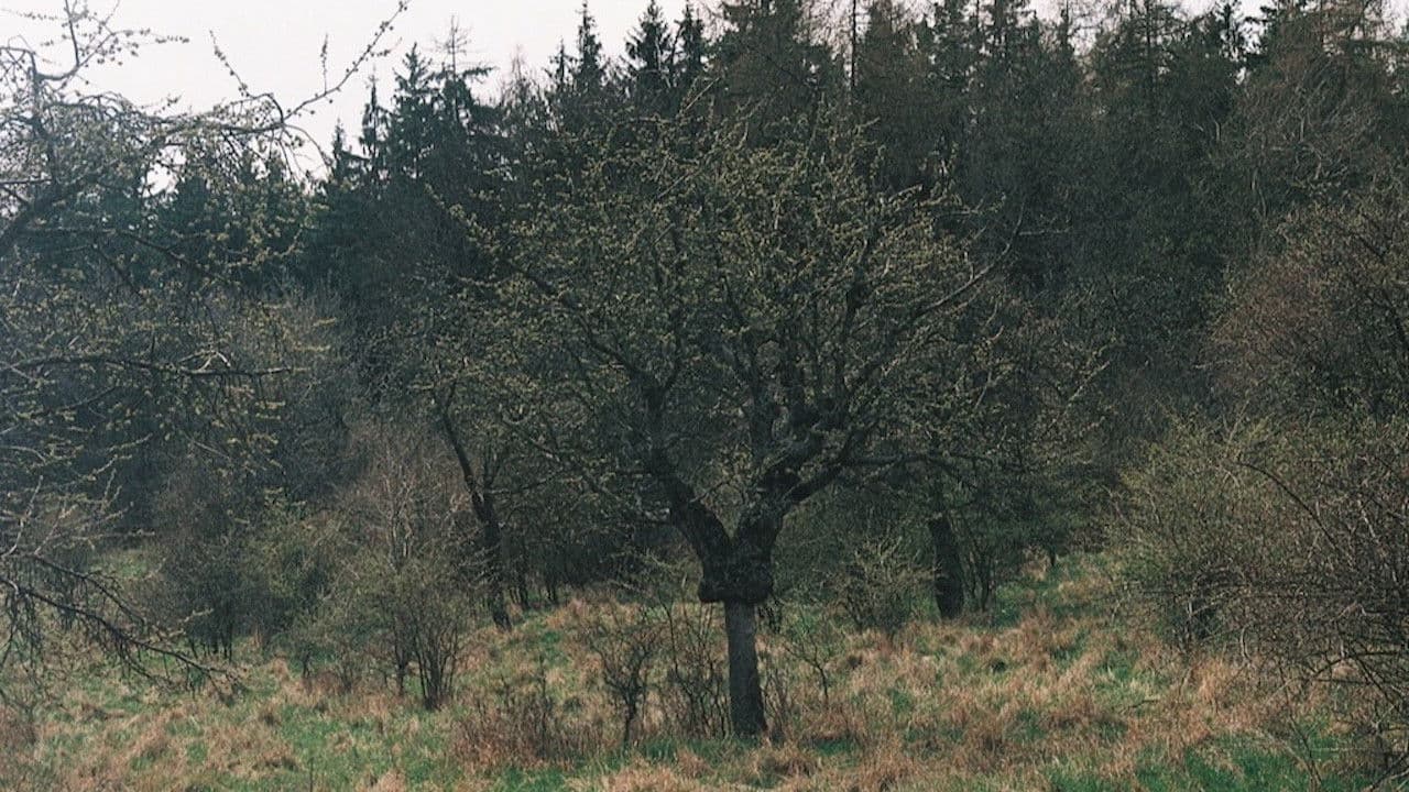 This Kind of Spring Has Never Been Yet