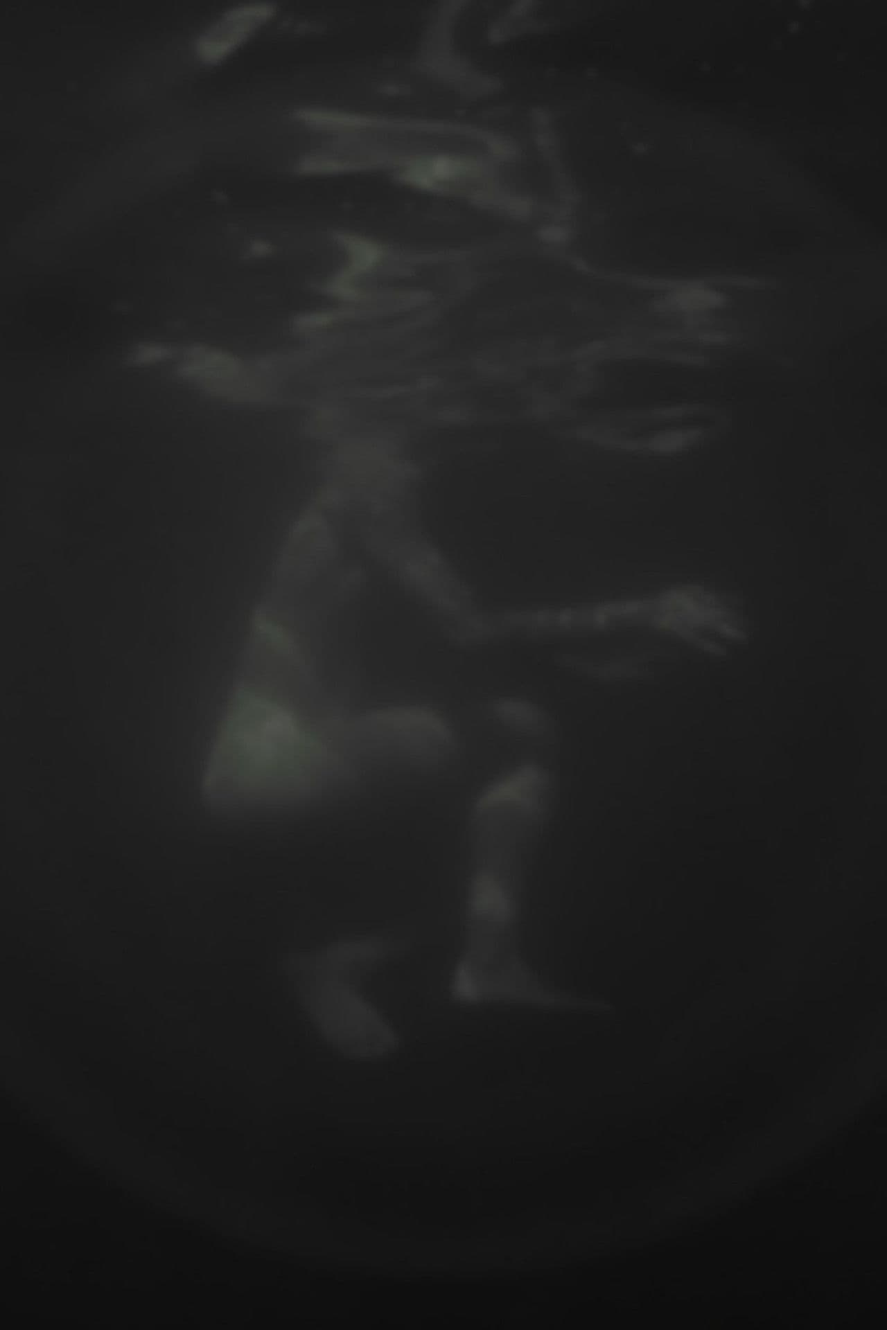 Hazug disznók az álmok is