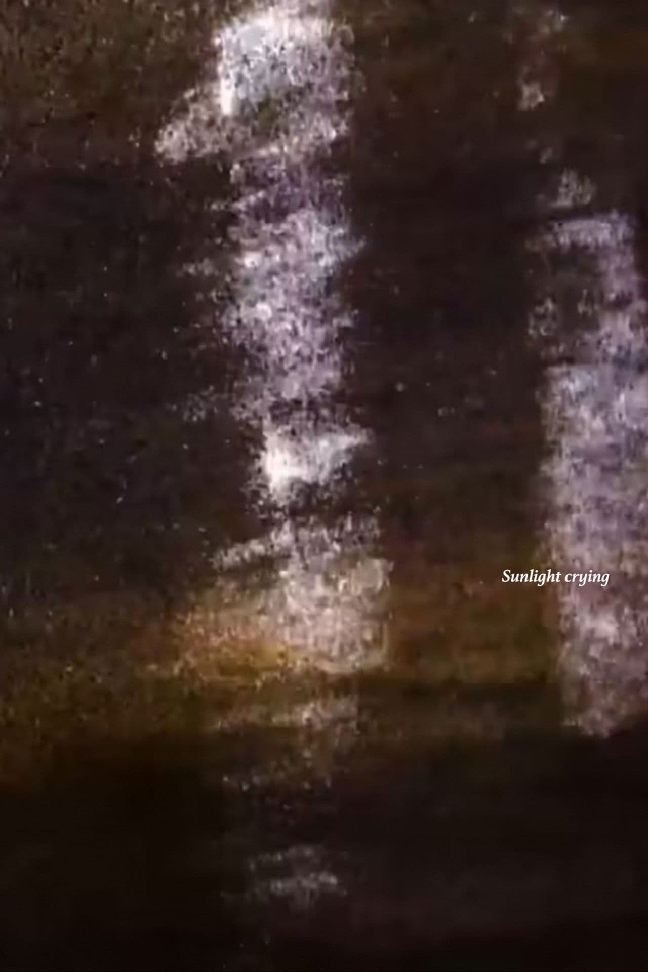 Sunlight Crying
