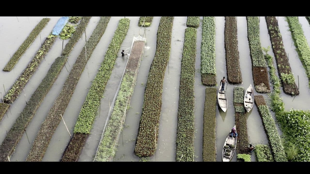 Elements of(f) Balance