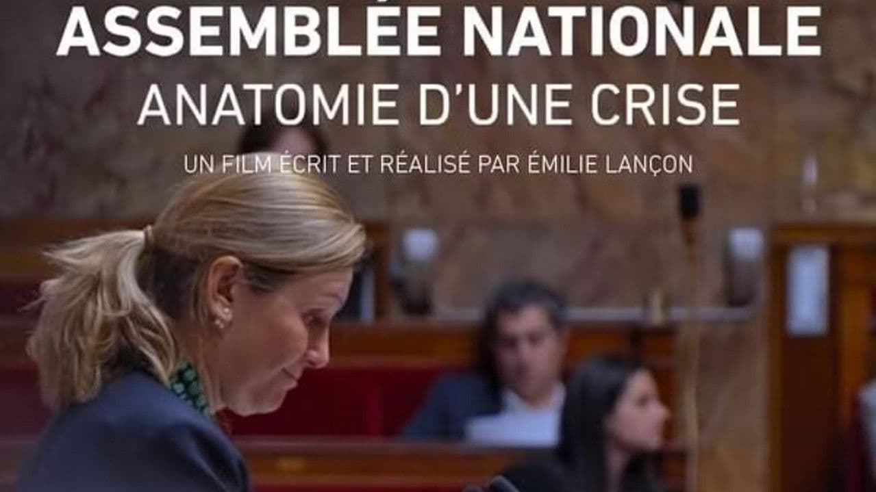 Assemblée nationale, anatomie d'une crise