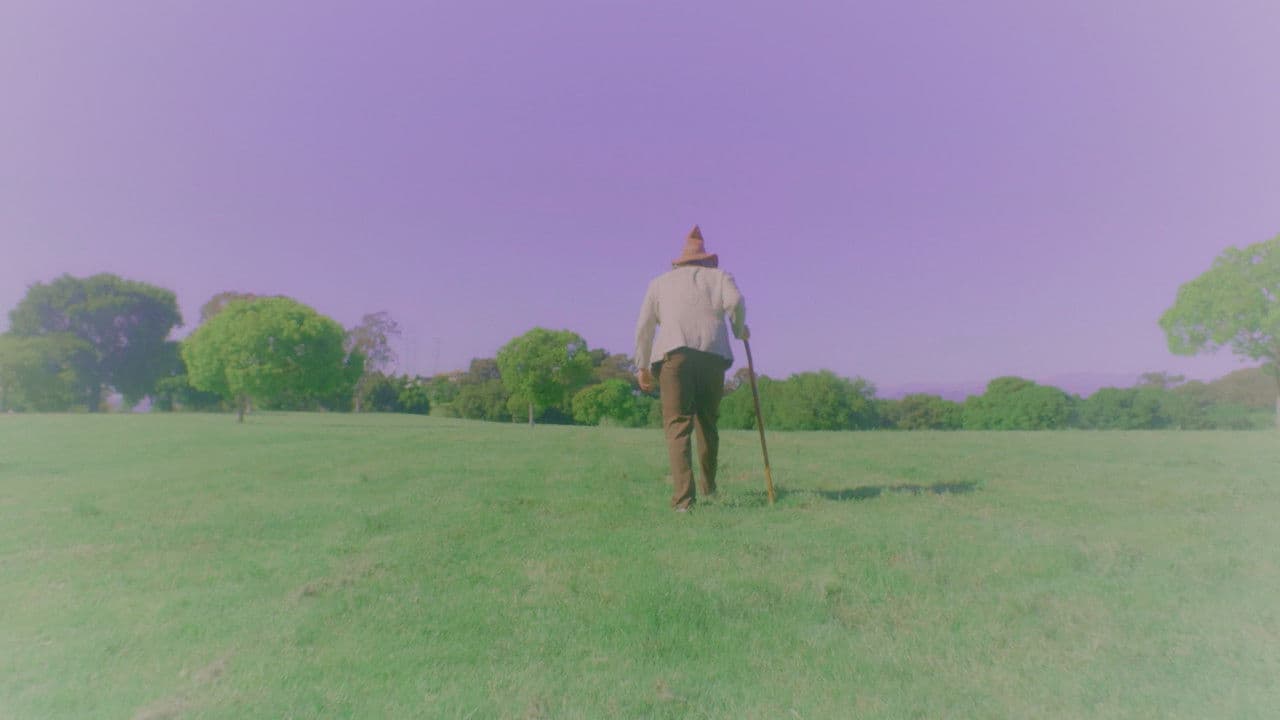 The Wizard and the Detective in the Search