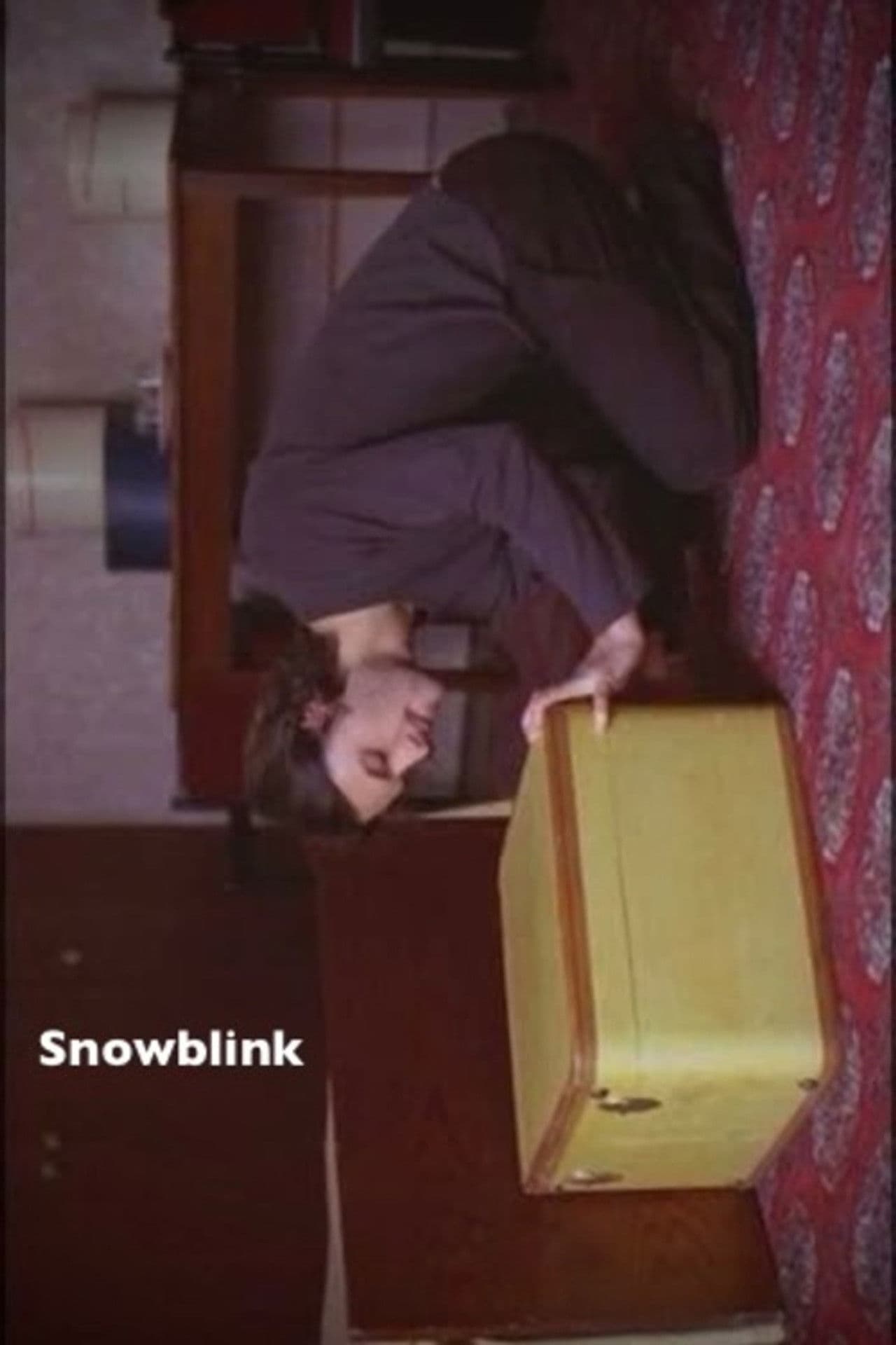 Snowblink