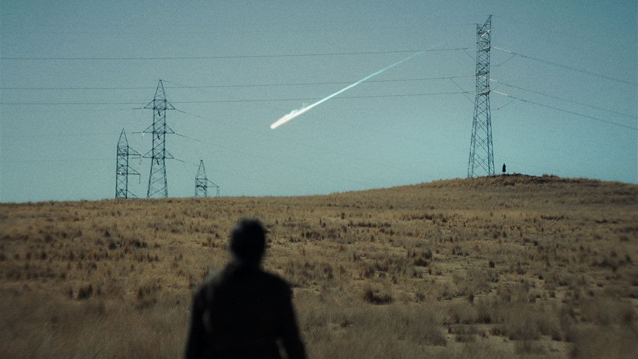 The Anatomy of the Horses