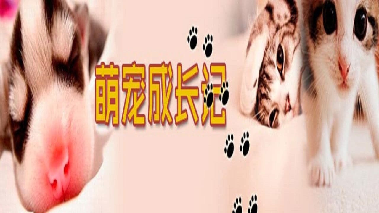 萌宠成长记（精编版）