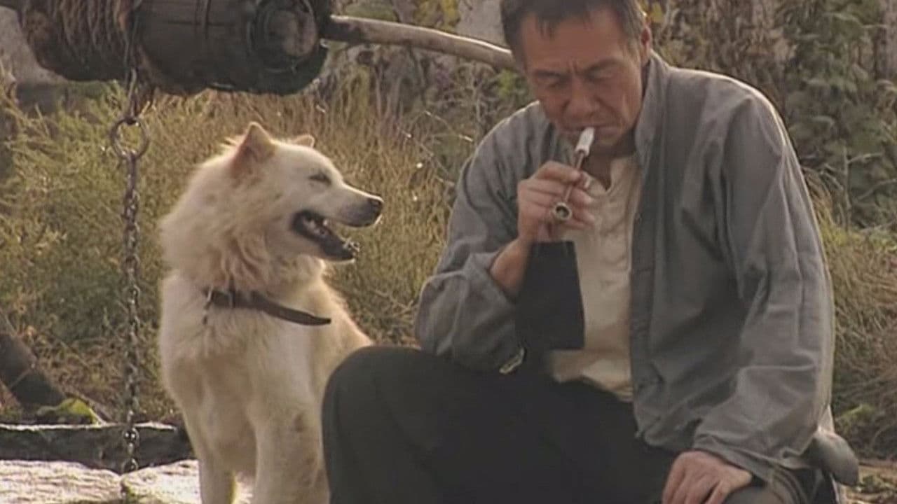 古船·女人和网