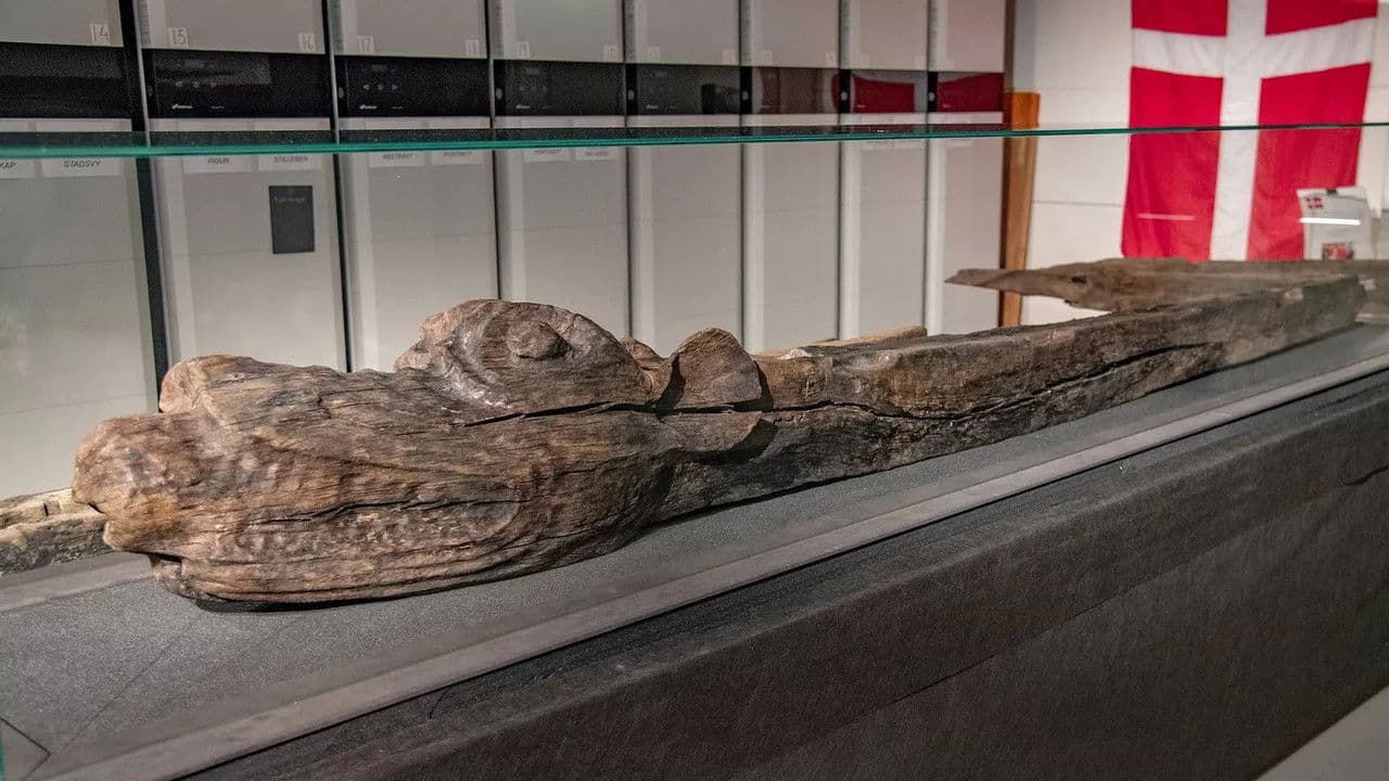 Der Stolz der dänischen Flotte – Die Gribshunden