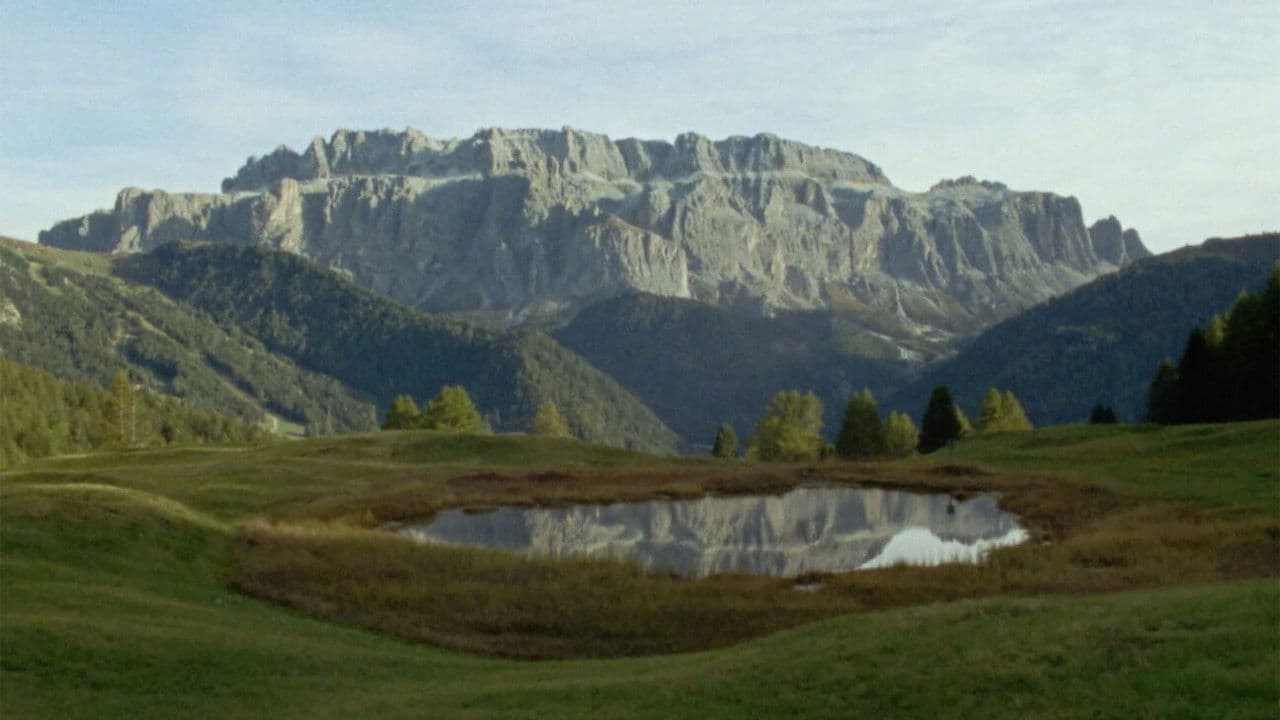 Memory Is an Animal, It Barks with Many Mouths