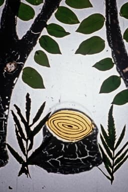 How Did Books Leave the Forest