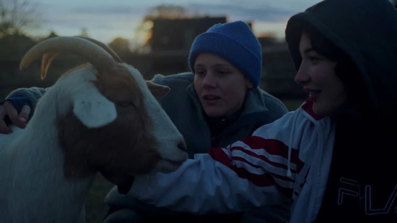 Ninja Motherf*cking Destruction