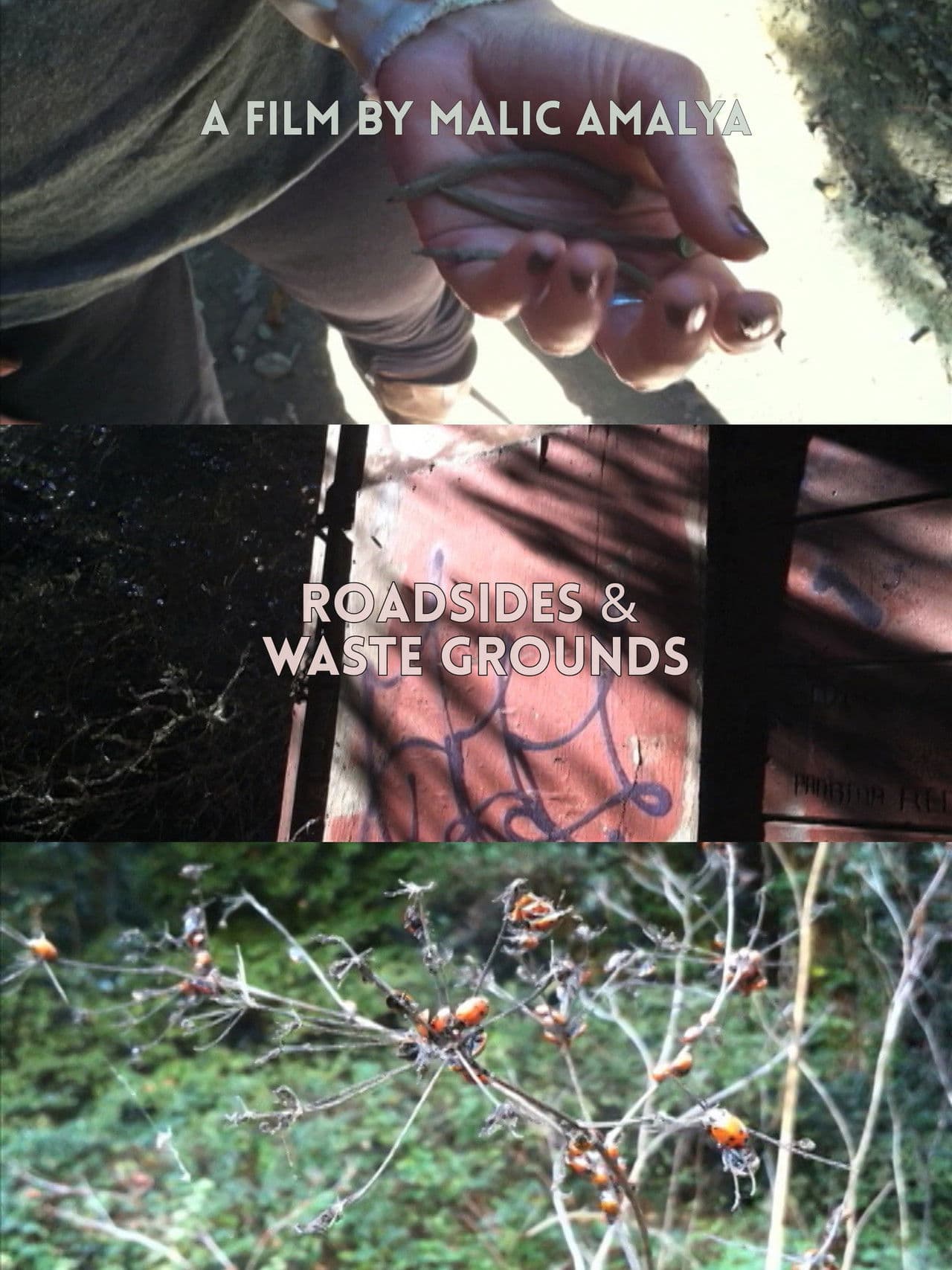 Roadsides and Waste Grounds