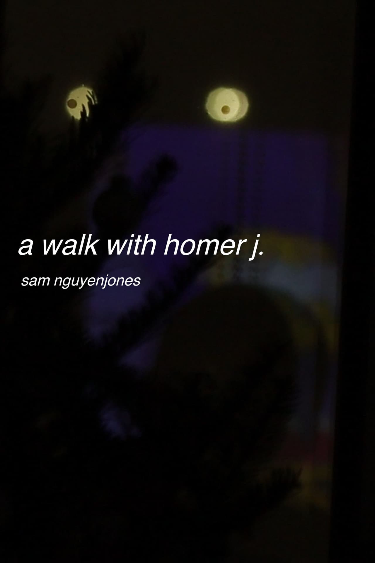 a walk with homer j.