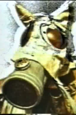 The Ideal/Na(rra)tion