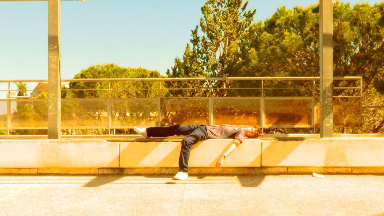 Le suédois - Vol International