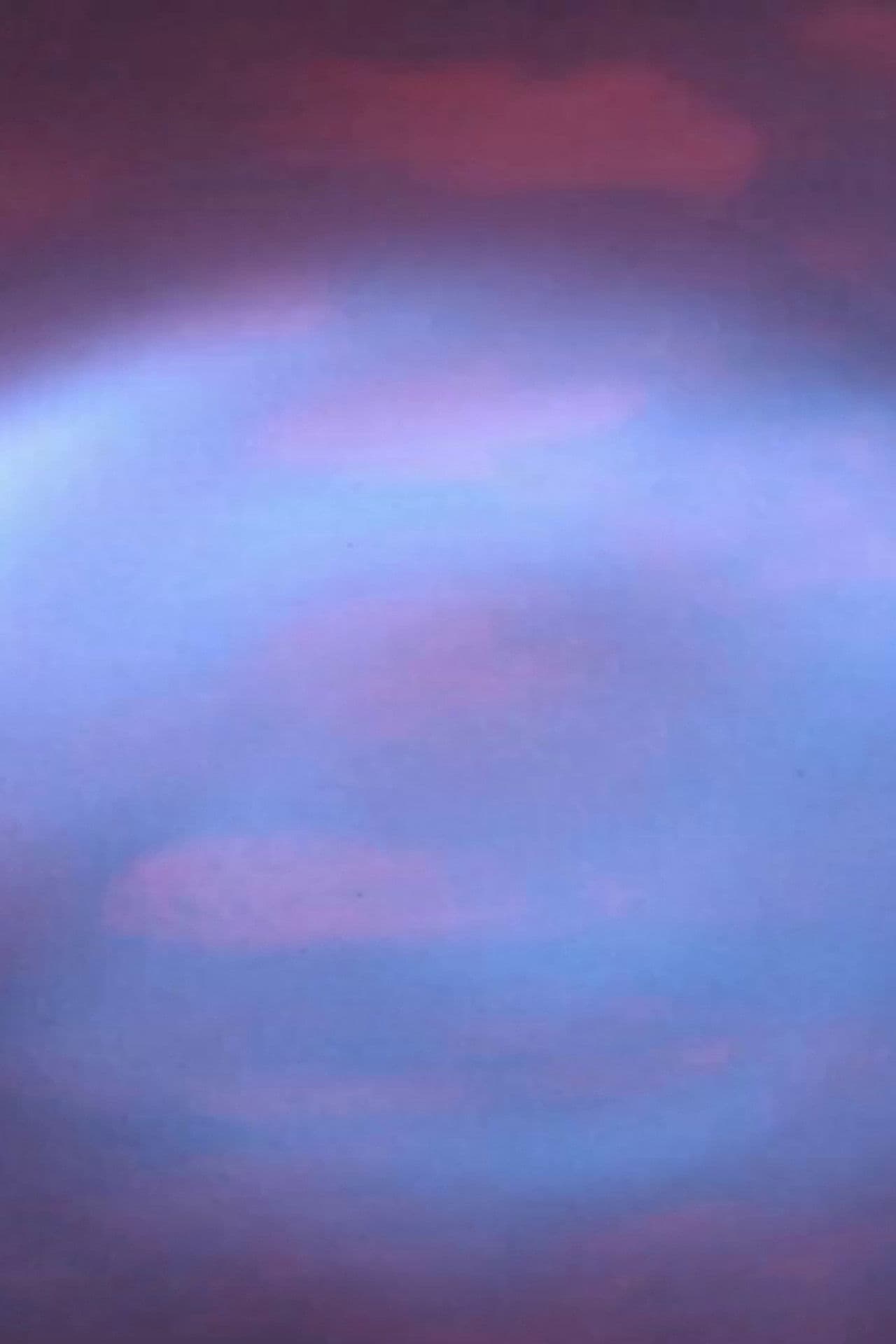 Rat (contaminazione 4)