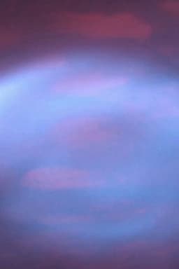 Rat (contaminazione 4)