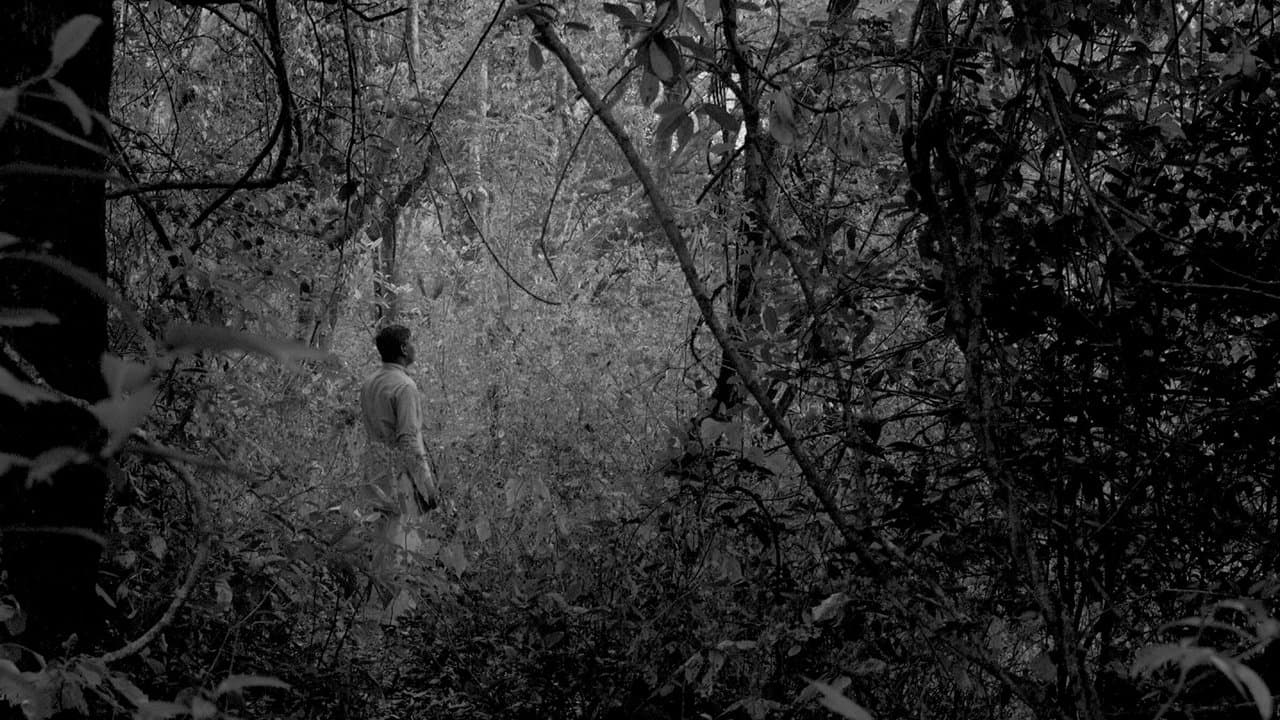 And What Is the Summer Saying?