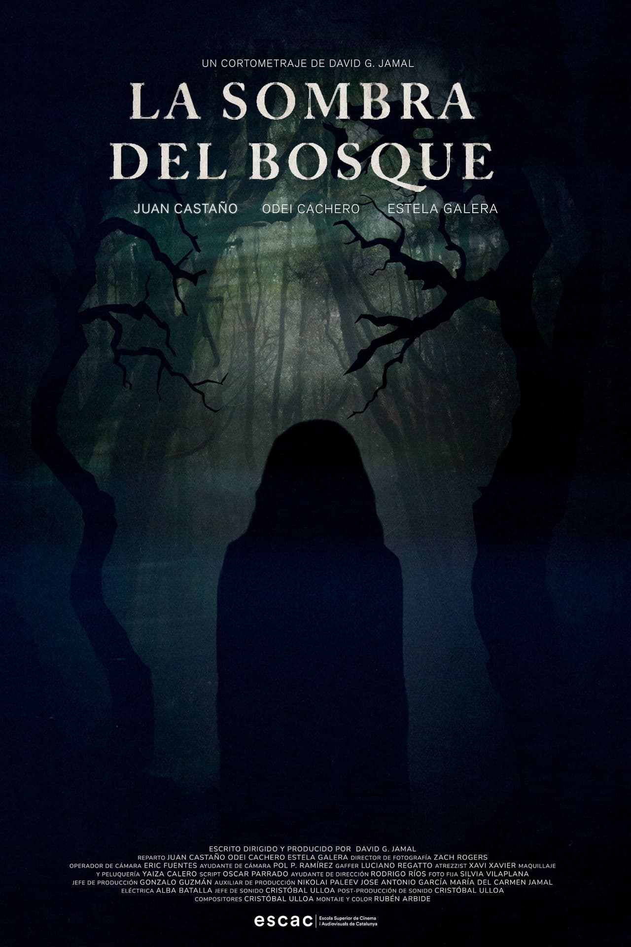 La Sombra del Bosque