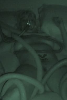 Sumptuous Summer 2019