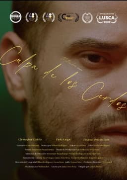 Blame it to the Pigs