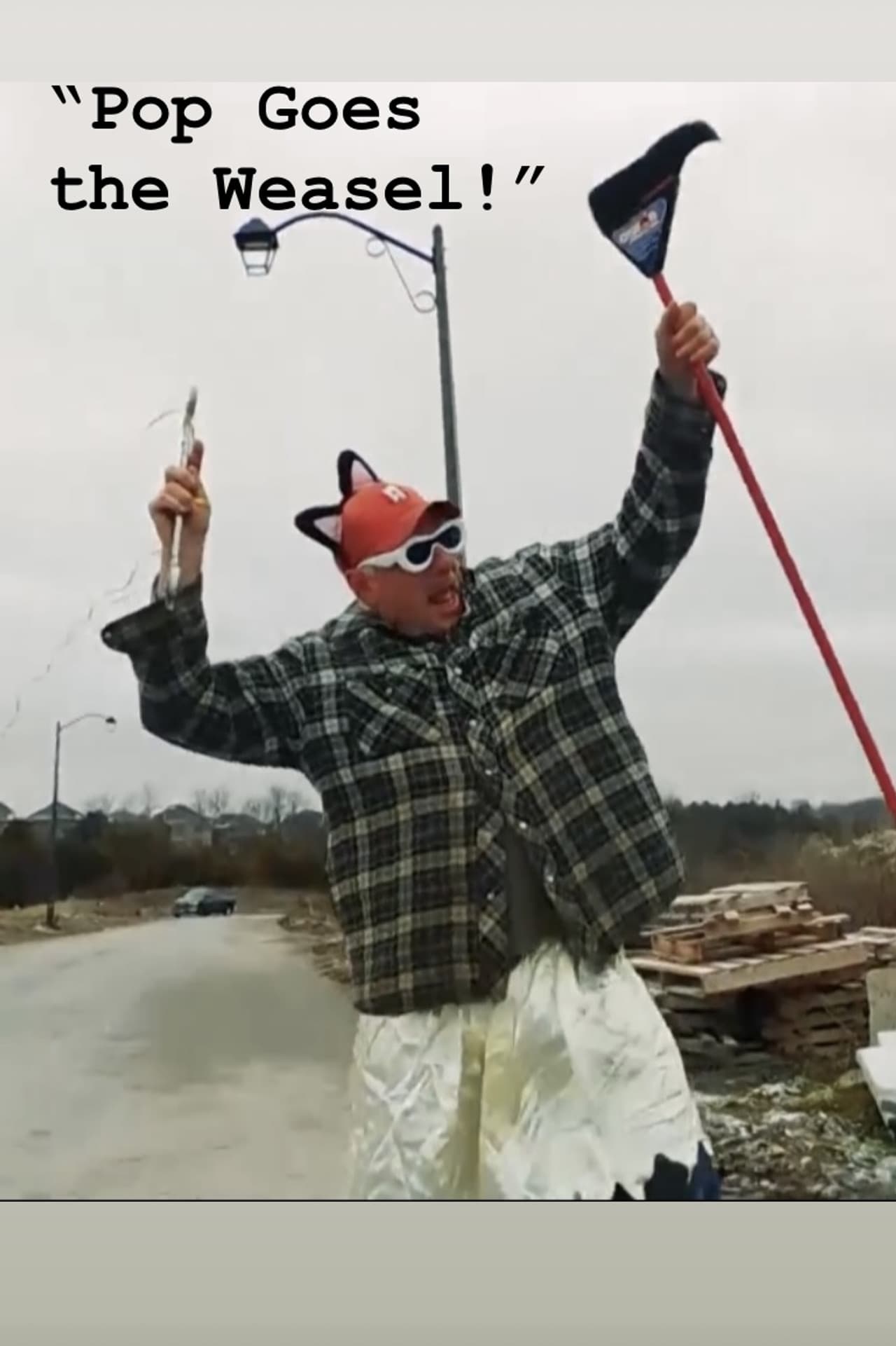 Pop Goes the Weasel!