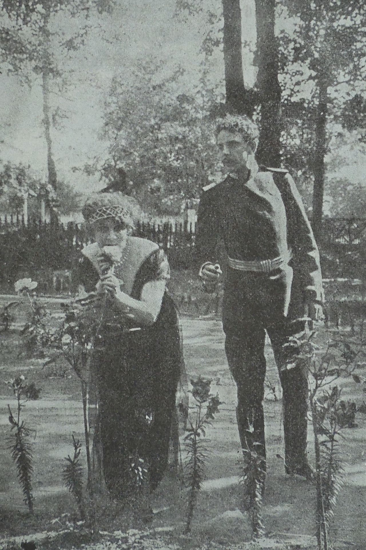 In The Nets of German Espionage