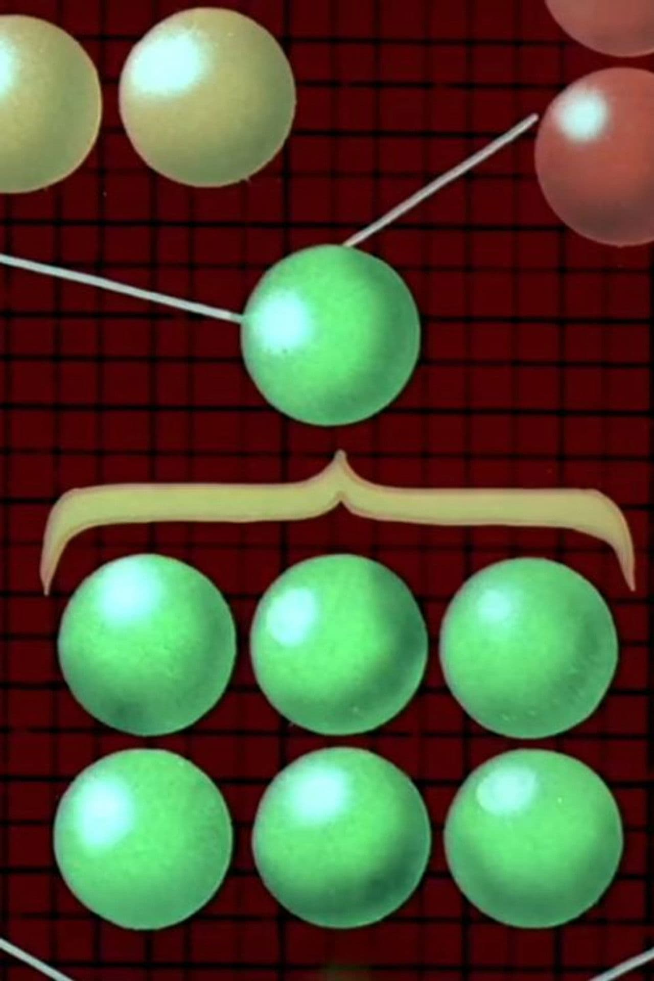 D-ale organigramei no. 1