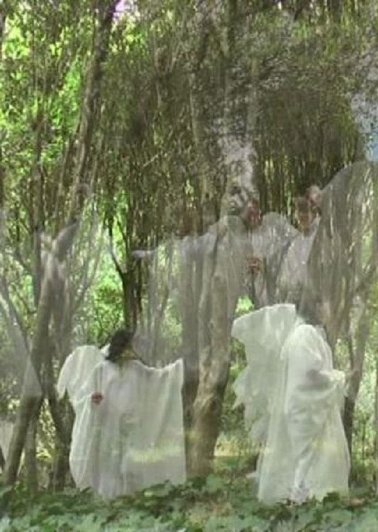 Il fascino dell'impossibile