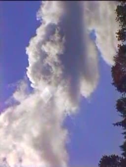 Spring (The Laundry Lesson)